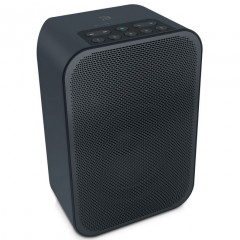 BlueSound Pulse Flex noir